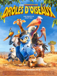 Drôles d’oiseaux