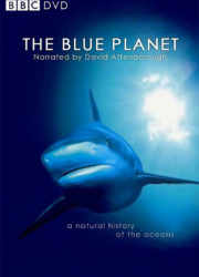 Au coeur des océans : la Planète Bleue