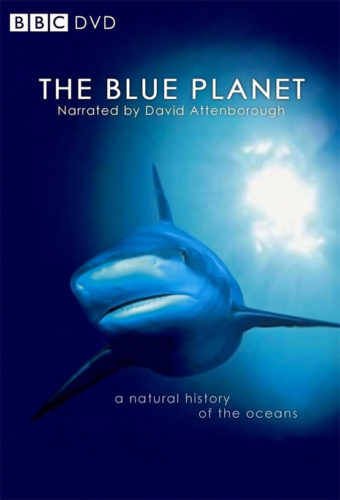 Au Coeur Des Oceans La Planete Bleue Un Documentaire Pour Quel Age