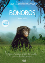 Bonobos