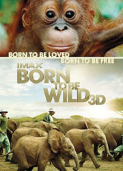 Born to Be Wild