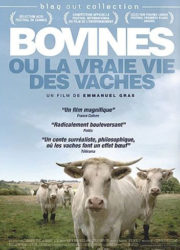 Bovines ou la vraie vie des vaches