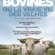 Bovines ou la vraie vie des vaches