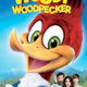 Woody Woodpecker