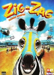 Zig Zag, l’étalon zébré