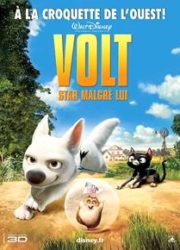 Volt, star malgré lui