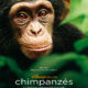 Chimpanzés