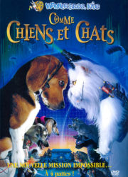 Comme chiens et chats