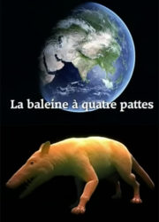 Évolution : la baleine à quatre pattes