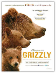 Grizzly