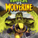 Hulk vs. Wolverine