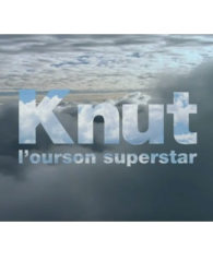 Knut, l'ourson superstar