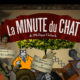 La Minute du Chat