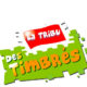 La tribu des timbrés