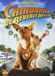 Le Chihuahua de Beverly Hills