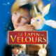 Le Lapin de velours