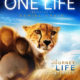 One Life