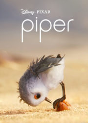 Piper