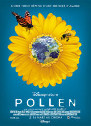 Pollen