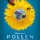 Pollen