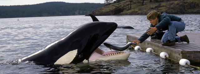 Sauvez Willy 2 : La Nouvelle Aventure