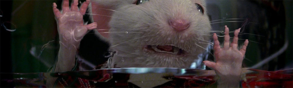 Stuart Little