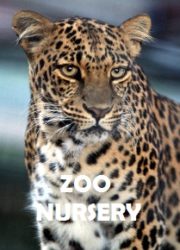 Zoo Nursery
