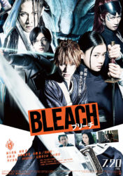 Bleach: The Soul Reaper Agent Arc