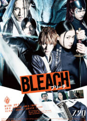 Bleach: The Soul Reaper Agent Arc