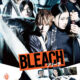 Bleach: The Soul Reaper Agent Arc