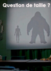 Question de taille ?