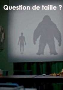 Question de taille ?