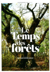 Le temps des forêts