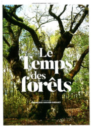 Le temps des forêts