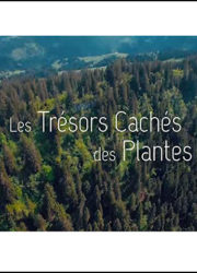 Les Trésors Cachés des Plantes