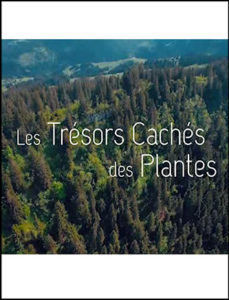 Les Trésors Cachés des Plantes