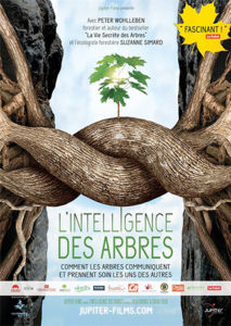 L'intelligence des arbres