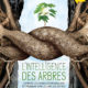 L'intelligence des arbres