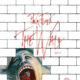 Pink Floyd: The Wall