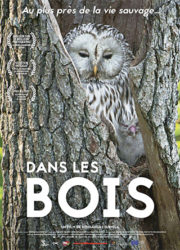 Dans les bois