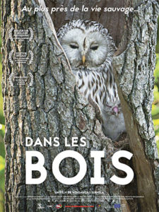 Dans les bois
