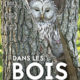 Dans les bois