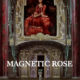 Magnetic Rose