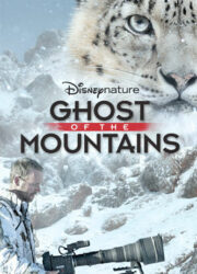 La Reine de la Montagne