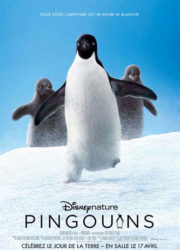 Penguins