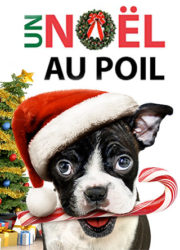 Un Noël au Poil