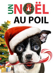 Un Noël au Poil