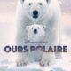 Ours Polaire