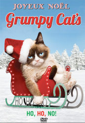 Joyeux Noël Grumpy Cat !