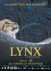 Lynx